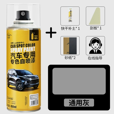 Car paint automatic painting Avtomobil boya qələmləri - universal-gray-single-bottle-free-full-set-of-tools