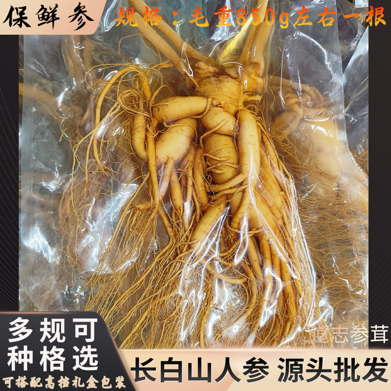 人参长白山新鲜东北特产泡酒特大号整根批发吉林鲜人参礼盒保鲜参|undefined