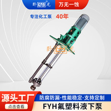 50FYH-25防爆泵电镀耐腐蚀泵强酸强碱溶剂泵氟塑料合金液下泵