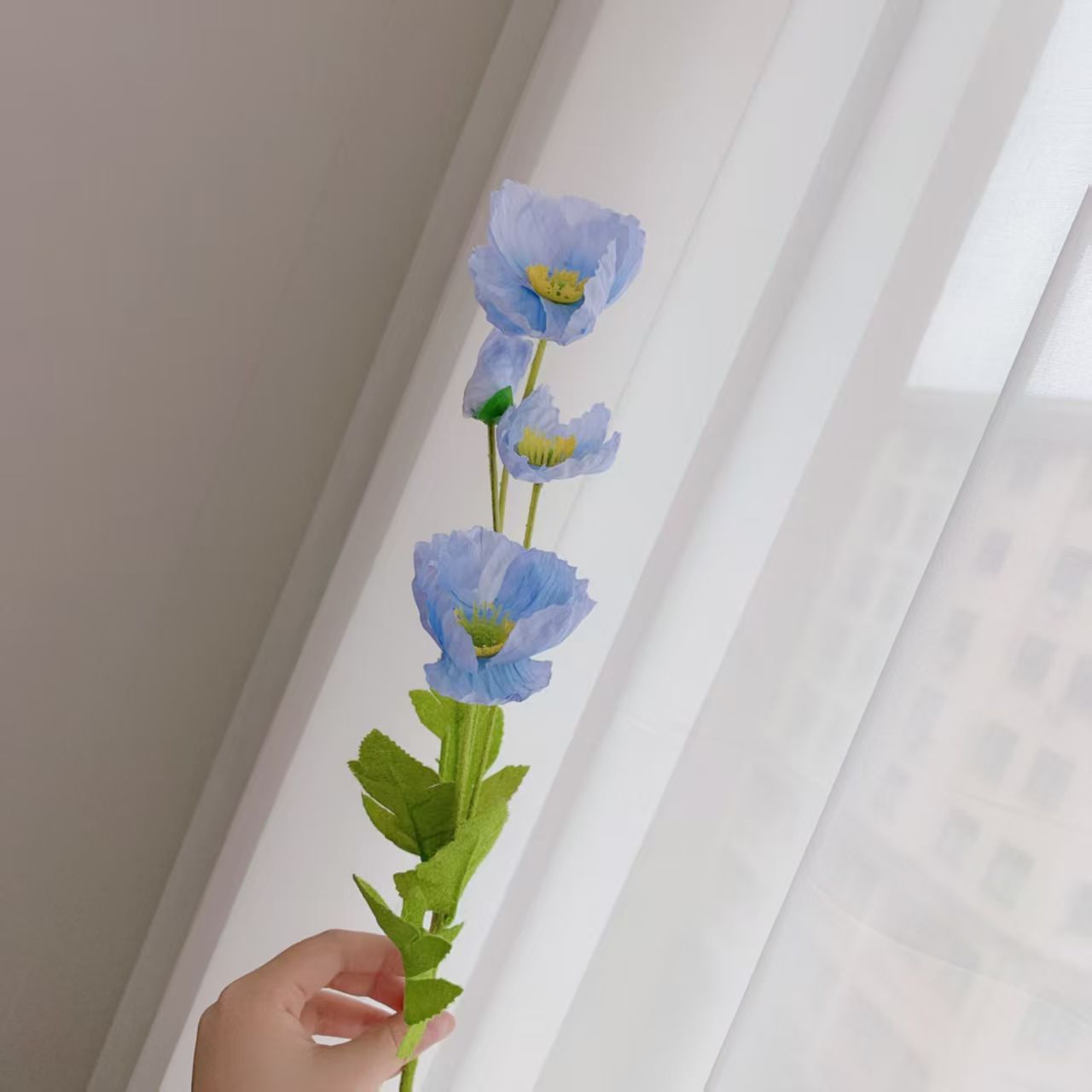 하늘색