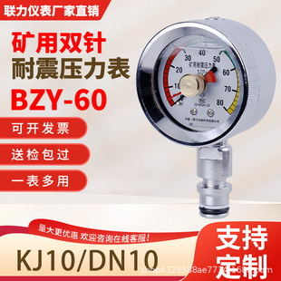 ���x��BZY-60�V���p�����������DN10 KJ10Һ���C��֧�ܱ�80MPa
