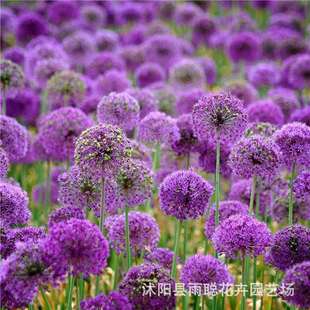 ���羳��؛����ֲ��N�Ӵ��[ �@���^�p���ܴ��[�N�� ��������