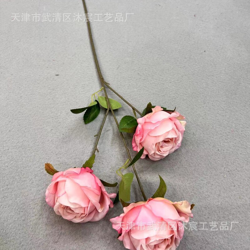 3頭のアカシアのバラはヨーロッパ式の油絵のバラの家庭の撮影の結婚式の撮影の道具の装飾の花をシミュレーションします。|undefined