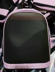Mochila con Pantalla LED Alto Brillo, A Todo Color para Publicidad Móvil
