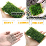 304 Aquatic Plants 304 из нержавеющей стали сетчатой ​​сетки, фиксируя чистые срезы 8*8 в воде без ржавчины