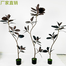 �ڽ�����Ƥ�����Gֲ�߶��p�ݿ͏d�[��������؁����L������ֲ��