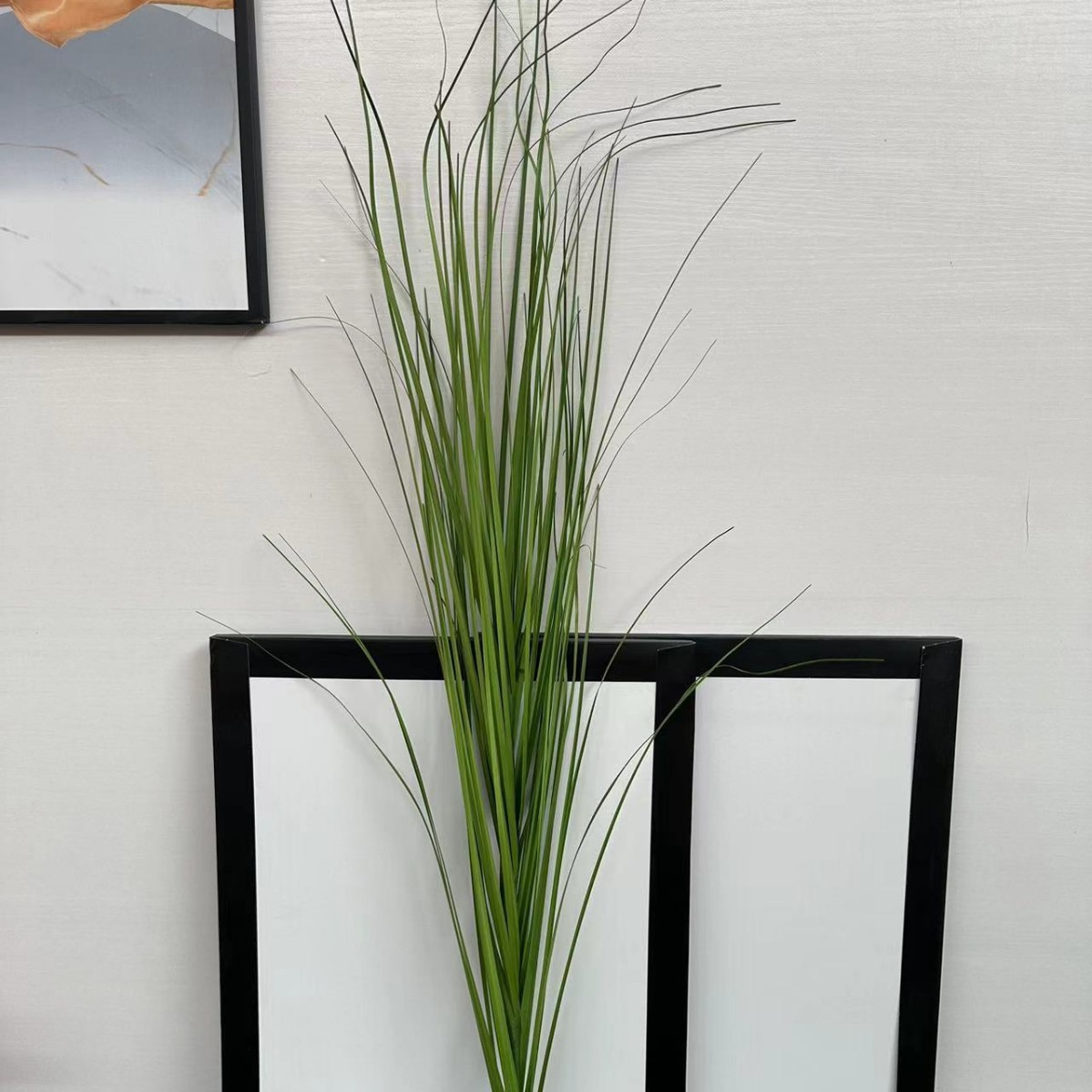 양파풀 80cm