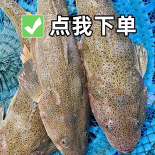 ���r�p���~���~�����~�����~��Ц�~ţβ�~һ��2�lȥ���Kţβ�~