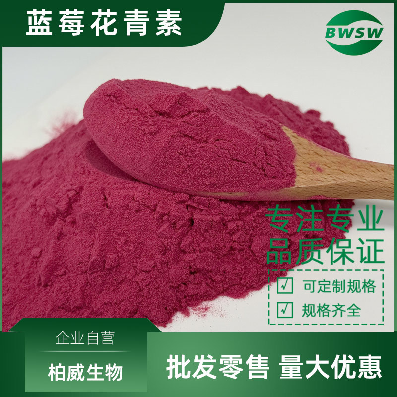 花青素粉 蓝莓花青素原料 蓝莓提取物 花青甙5%-25% 水溶性花青素