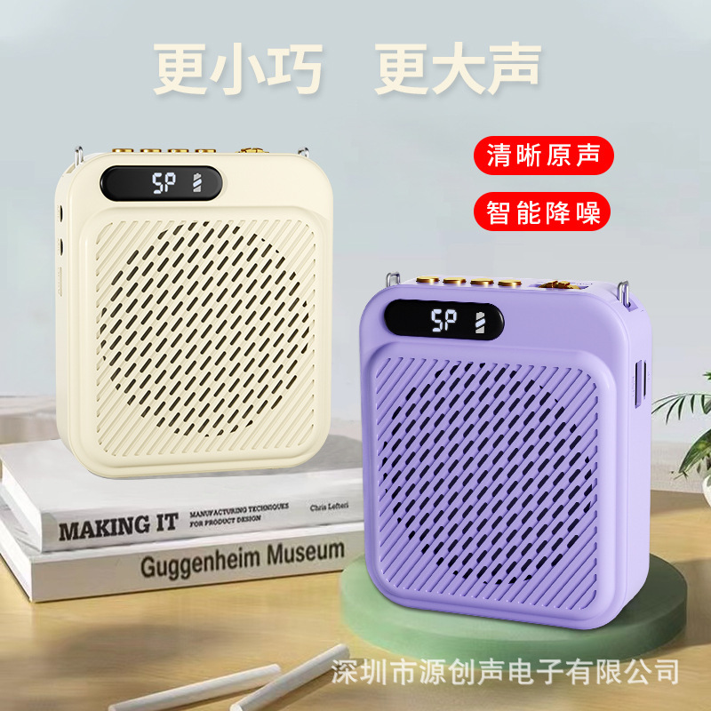 新しいクロスボーダーダブルマイク教師教育リトルビーアンプカード U ディスク Bluetooth プレーヤーガイドマイク|undefined
