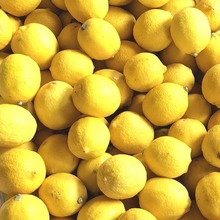 安岳新鲜柠檬当季新鲜水果一二三中果单个100-120克五斤起拍坏赔