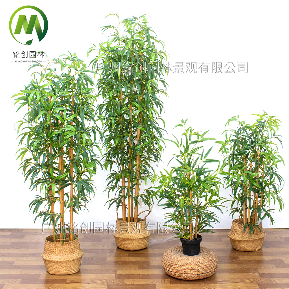 Simulación de plantas verdes y paisajismo Bambú falso Simulación de plantas en macetas Simulación de plantas verdes falsas Paisajes Bambú Bonsai