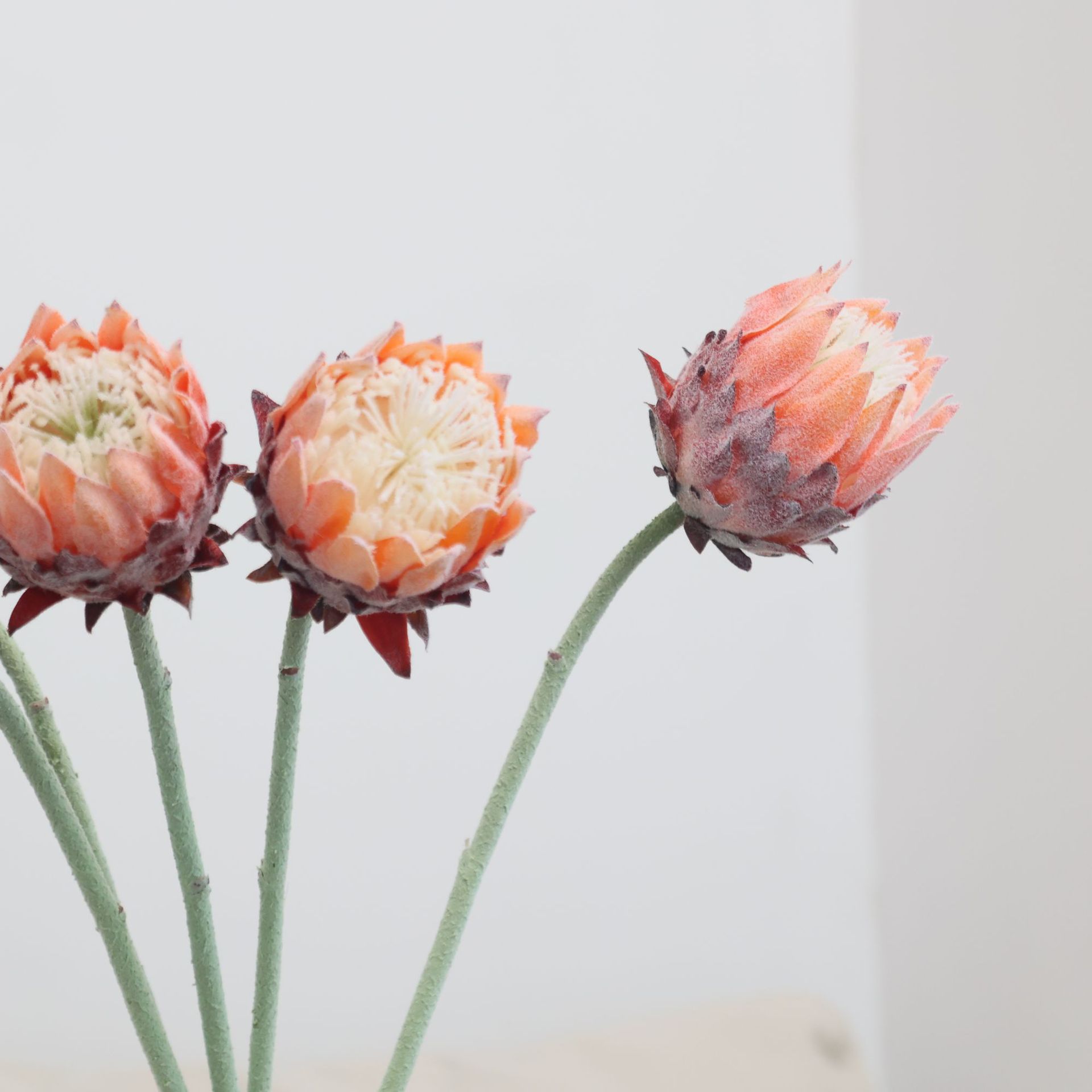 北欧单支帝王花仿真花家居婚庆酒店橱窗装饰花植绒北欧蓟假花跨境详情11