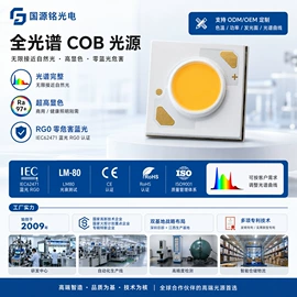 COB LED;LED灯带;灯丝