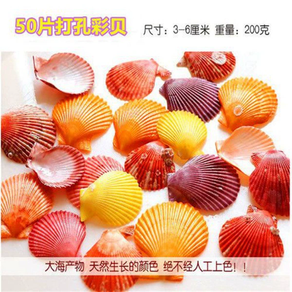 50 pieces of punched colorful shells