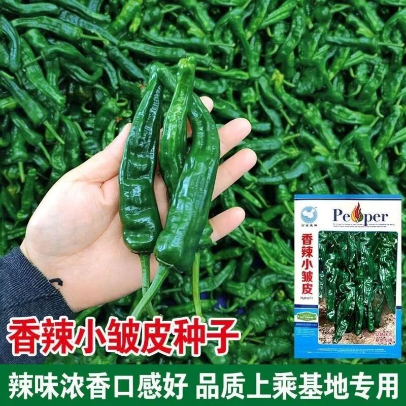 Spicy Wrinkled Pepper Seeds, Thin-Skinned Pepper Seeds, Original Four-Season Vegetable Seeds, Wholesale Wrinkled Small Peppers
