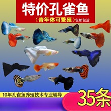 �~�����lС�~���B�Ꭷ�~��ȸ�~���NС�͵�ˮ��Ʒ�������~�^�p�~