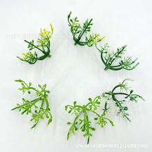 6�����m�^����ˮ����� ����ֲ����� �辰���� ��Ʒ�����z�����