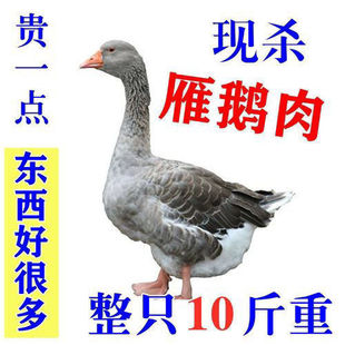 �����Z�����r������Y���b