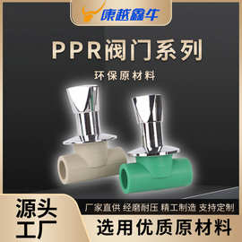 PPR阀门截止阀快开暗阀双活接铜球阀PPR闸阀开关自来水管配件批发