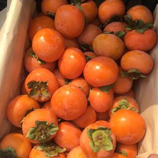 �������r�����ؼ������Ӯ���ˮ�������߲�һ�������l