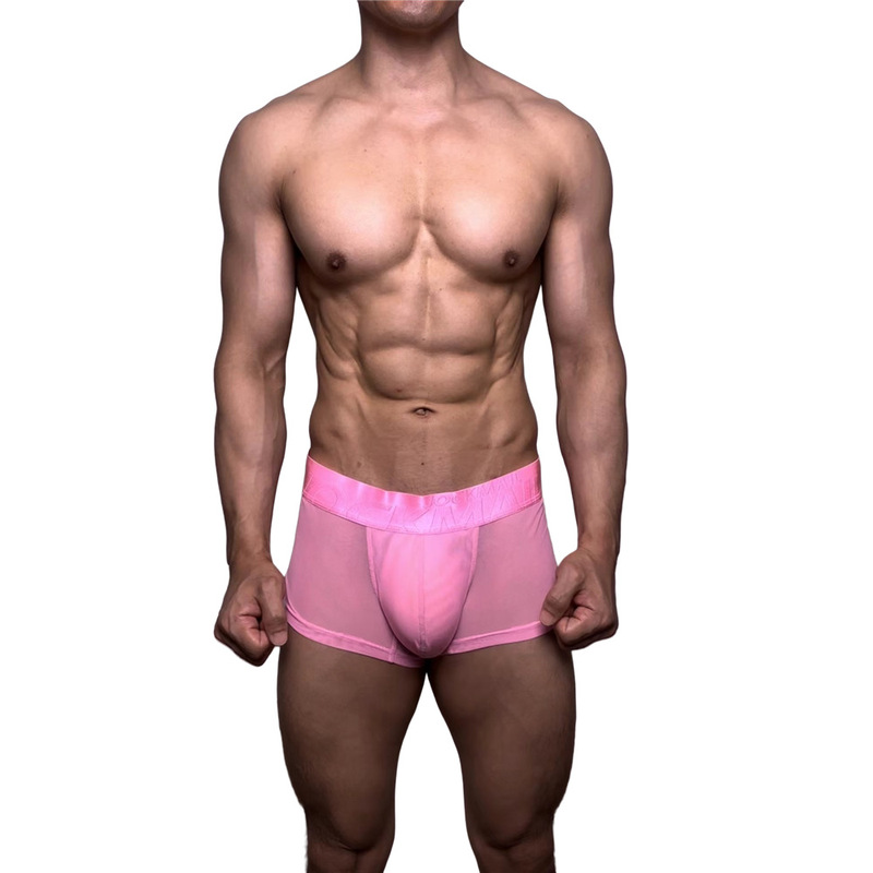 Men's Fine Mesh Underwear, Ice Silk Black Silk Boxer Briefs, Cross-Border Hot-Selling Item