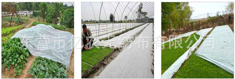 O1CN01qb4deF1bWgVoE9Rfj_!!2924243473-0-cib.jpg?__r__=1722236131955