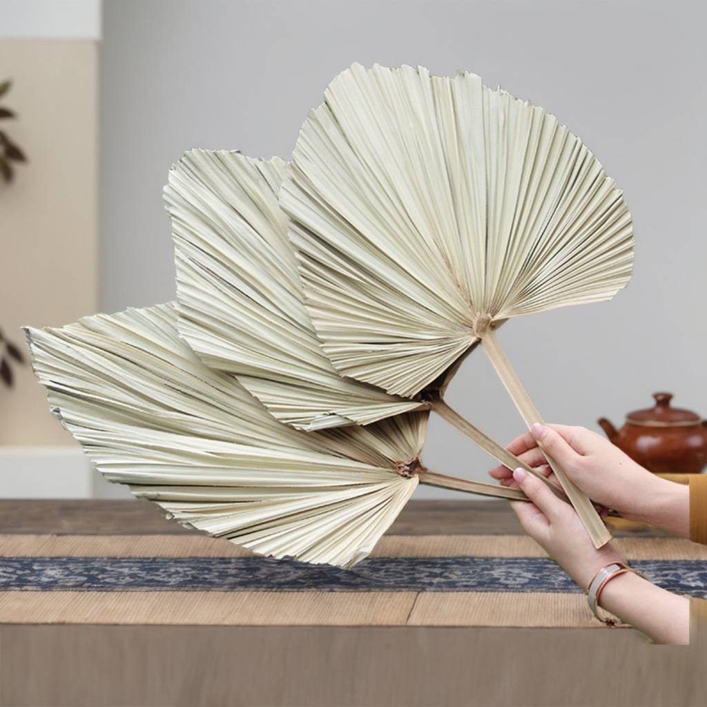 Pu fan leaves dry flowers