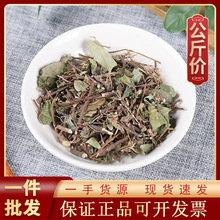 1000g络石藤中药材现货批发零售新货源头 络石屯 爬墙虎 络石草