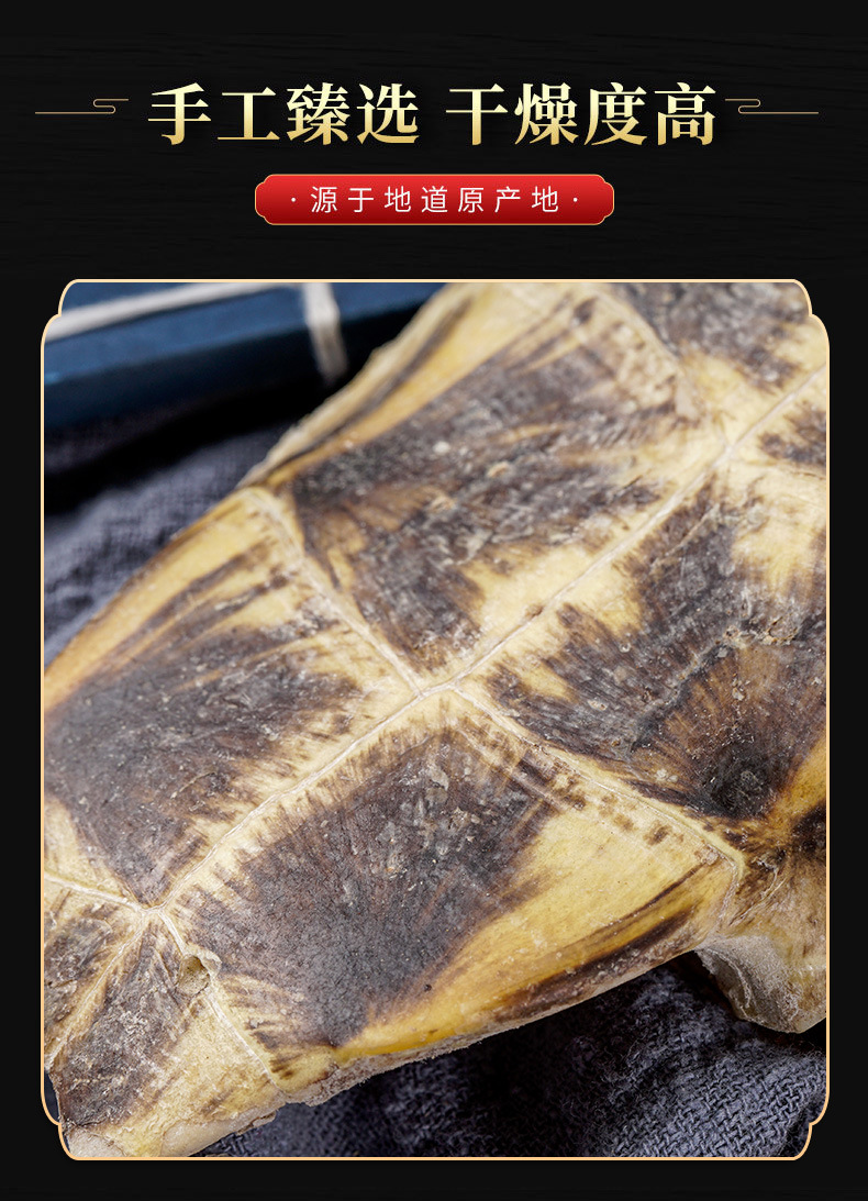 Gui Ban (Plastrum Testudinis) — Dried Turtle Shell Herb for Decoction & Soup quality and texture