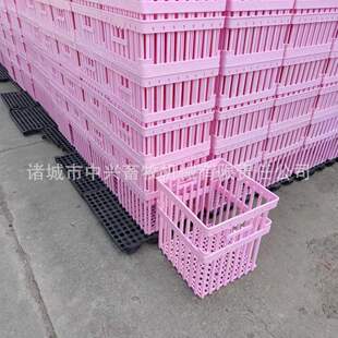 ��ŷN�����D�� 36ö�N���� 42ö��N����