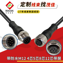 M12防水线 4芯5针8孔12带平蔽航空头传感器线工业定制连接线 爆款
