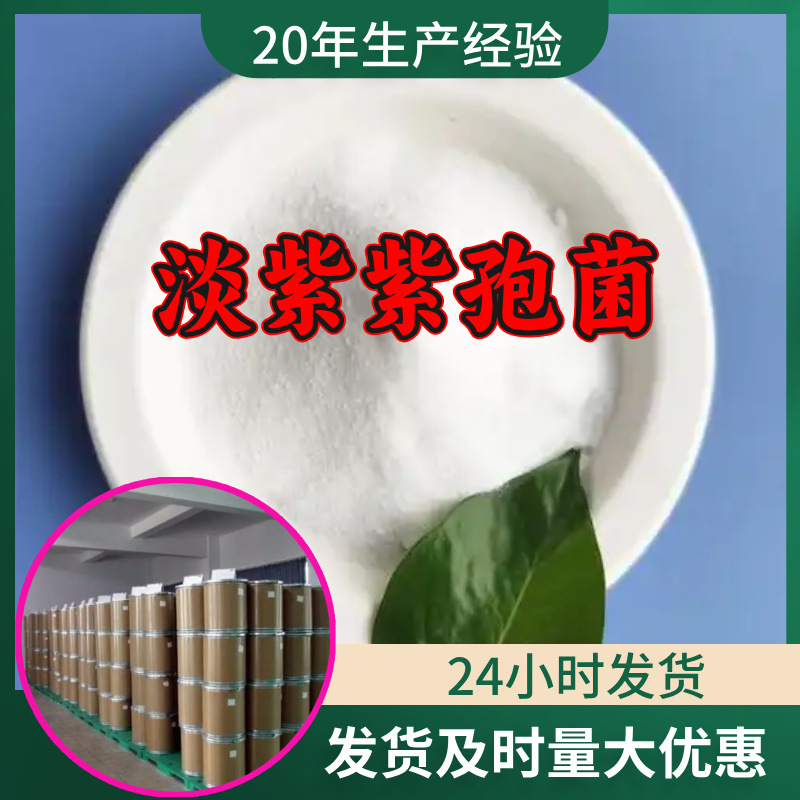 淡紫紫孢菌 源头工厂工业级客户至上满意的服务量大优惠山东江苏