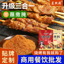 代发烧烤料撒料家用商用烧烤炸串烤肉蘸料餐饮批发辣椒孜然调味料