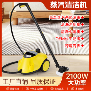 High Temperature Fumigation Machine High Pressure Steam Cleaner Steam Cleaning Machine Household Car Interior Film Sterilization and Disinfection 2L
