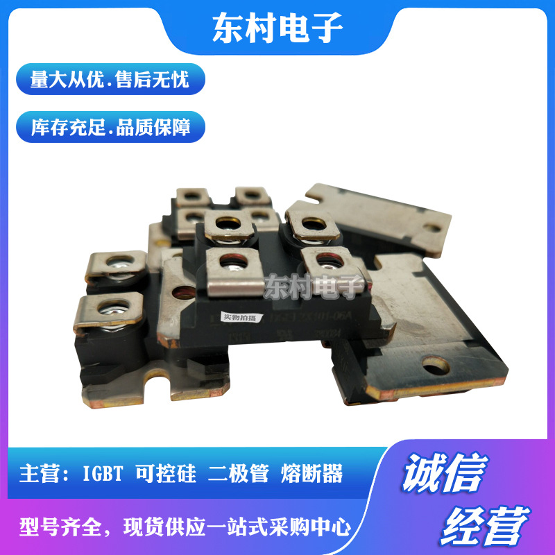 DSEI2X61-06A/12A DSEI2X101-06A/12A BYT260/261PIV800 功率模块