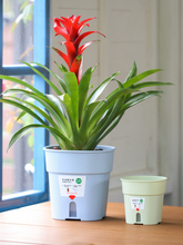 ��ˮ�������ϻ�������ˮ�G�}�Gֲ��ˮ�����p�ӈ@ˇ���ַN������