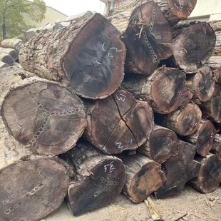 �F؛�����M�ںں���ľԭľ �����ں��Ҵ���� �Ҿߵذ��� �ں�