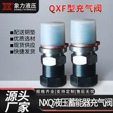 厂家直销储能器单向阀 剪板机蓄能器氮气工具充气阀 QXF5充气嘴阀