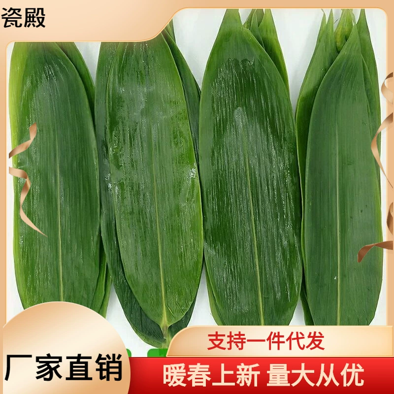 Рongye Baozi Zongzi Свежие крупные средства мебели листовые перчатки Grassless большие листья bald leaf оптовые