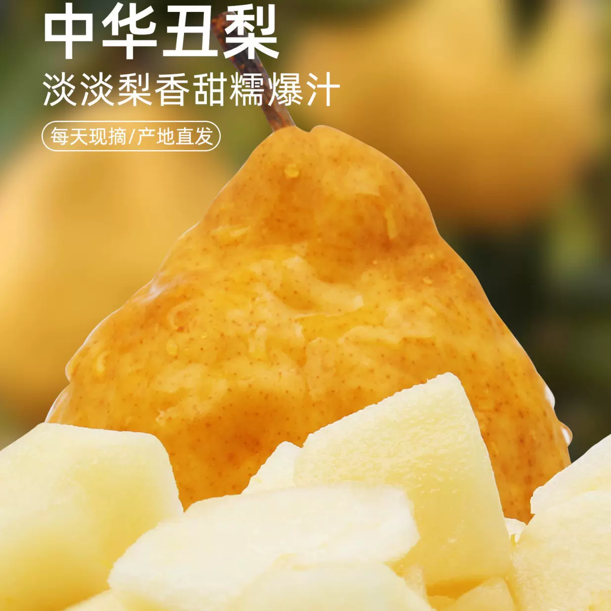 中华丑梨产地直发软糯香甜应季新鲜水果正宗莱阳梨支持代发太婆梨