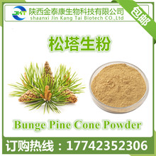  ɹBunge Pine Cone Powder ȡ