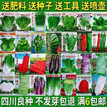 �߲˷N���ļ����N�̨�r��ͥԺ�������˲��˾²���˲�ݮ����