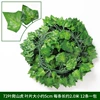 72-leaf creeper (1 piece in bulk)