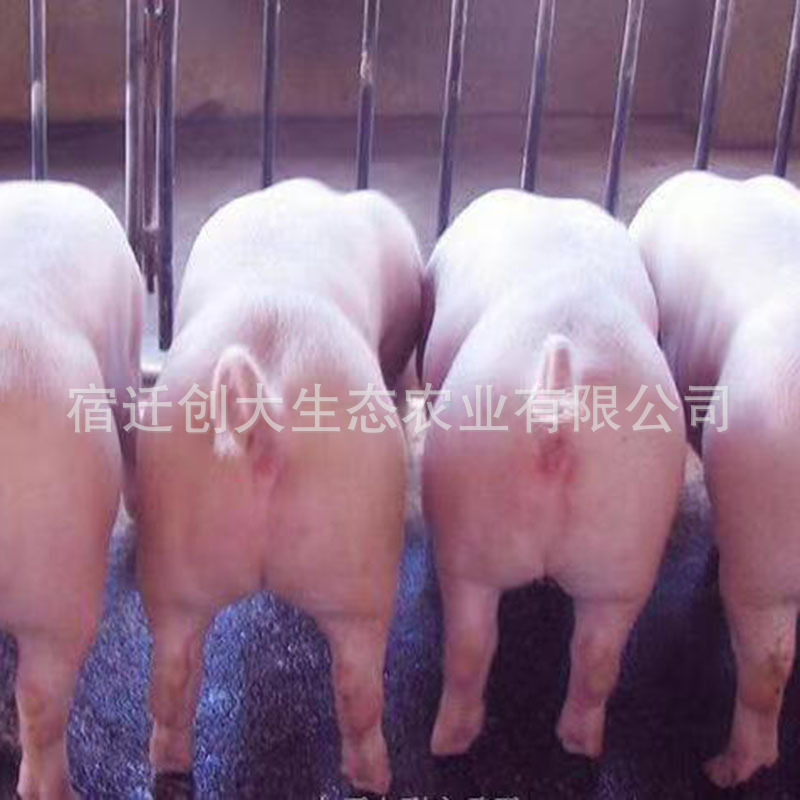 e63cfcd4f087ae729787ba22bf4ffe