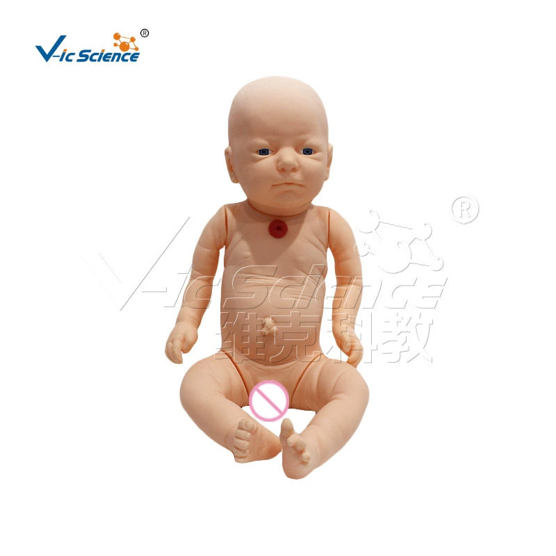 Старшая медицинская модель ухода за младенцем VIC409