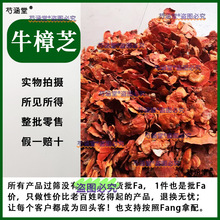 ţ��֥Ұ�� ��ș�ļ��ɹ�������ţ��֥��ţ����100����؛