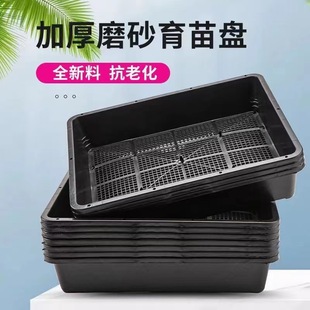 Seedling tray large plastic thickened frosted sprout tray sprout tray succulent seedling box planting pot tray