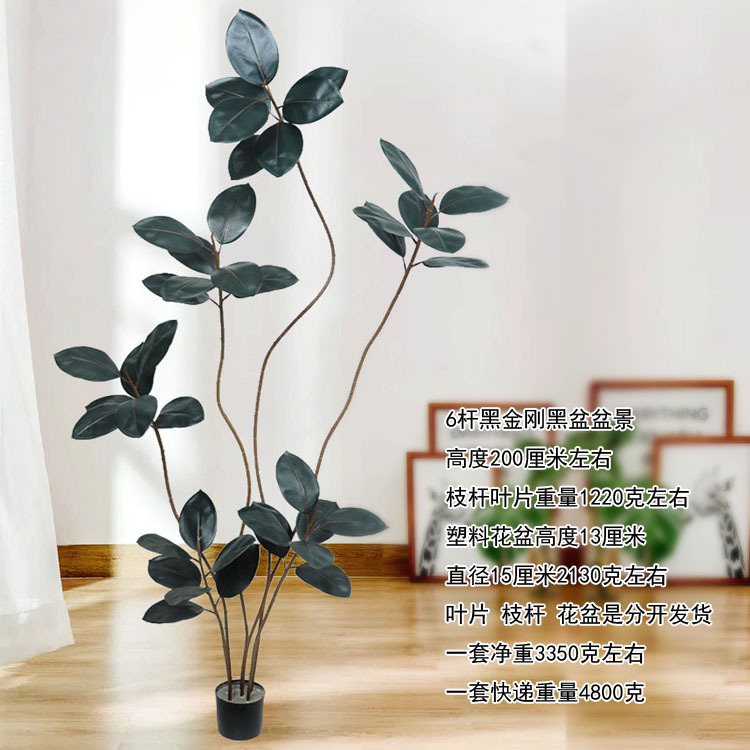 Plantas de simulación bonsai decoración interior y exterior plantación verde plantación de bambú simulación de plantación en maceta plantación de dormitorio plantación de suelo image 3