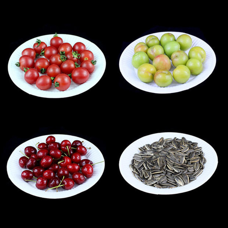 Placa de papel de 6 pulgadas Placa de pastel blanco desechable Placa de barbacoa Placa de fruta Placa de papel de pintura hecha a mano de jardín de infantes